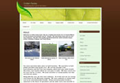 Crider Farms usign Wordpress